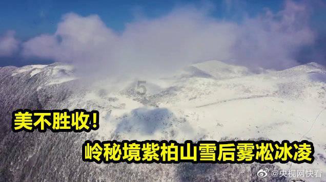 全民烧脑3去广告版