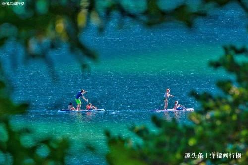 沪江开心词场
