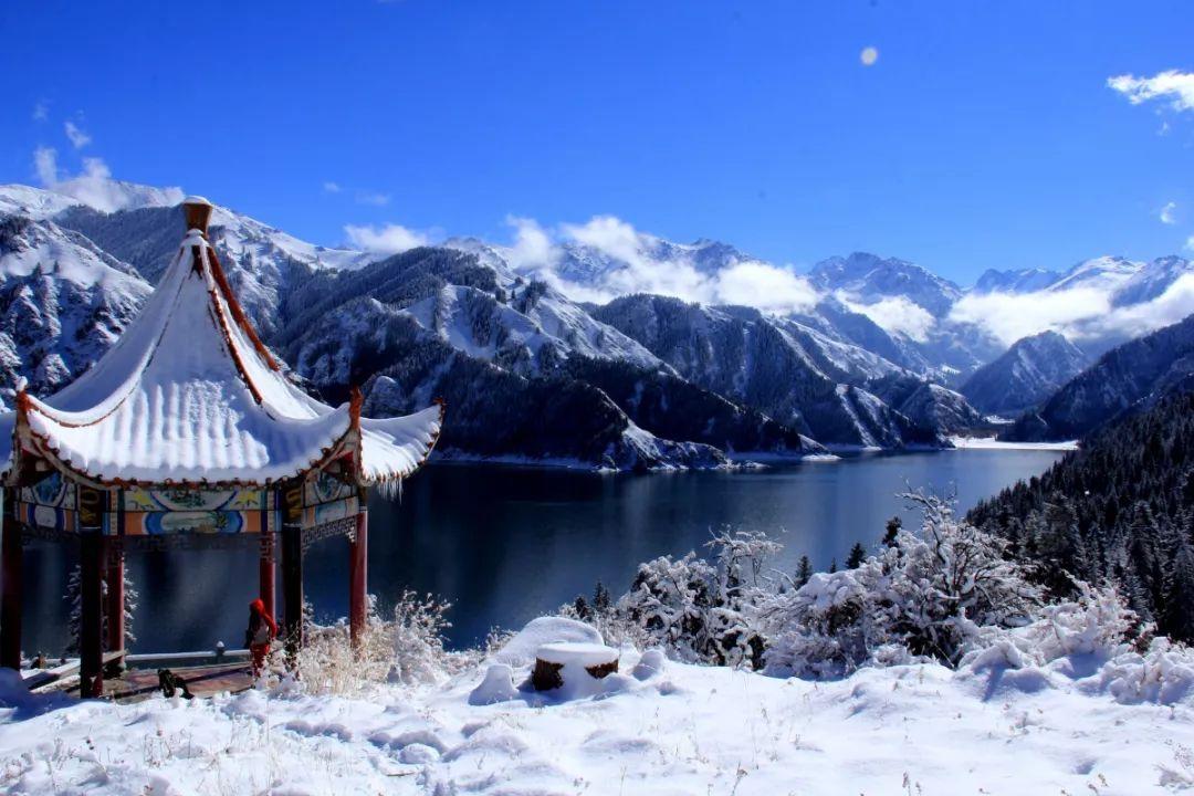 嘉日单词